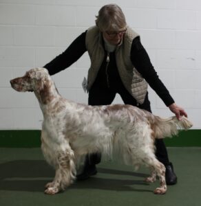 Class 29 OB & BIS - ShCh Gemsett Ice Cold in Alex at Mariglen JW